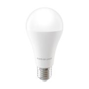 Forever Light E27 A65 17W 2100lm 6000K LED sijalica