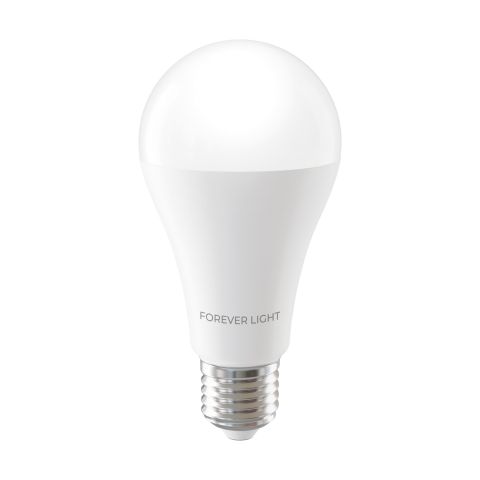 Forever Light E27 A65 17W 2100lm 6000K LED sijalica